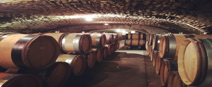 Emma visiting wine producers in Bourgogne