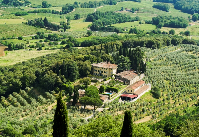 winery in Tuscany with beautiful vineyards, olive groves, and cypress trees
